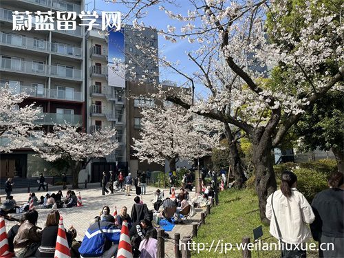 日本读博士英语授课申请要求条件