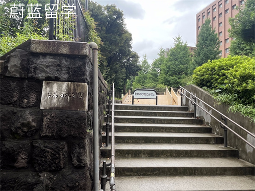 日本读研文科专业有哪些