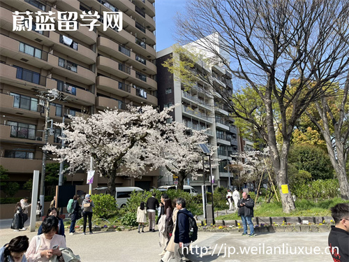 去日本读博价钱如何