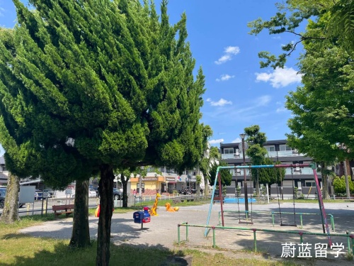 日本全英文授课的学校和专业有哪些