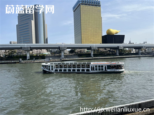 日本考研还是SGU？研究生预科与英文授课路径对比