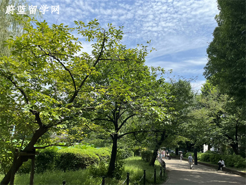 申请去日本读博士的条件是什么