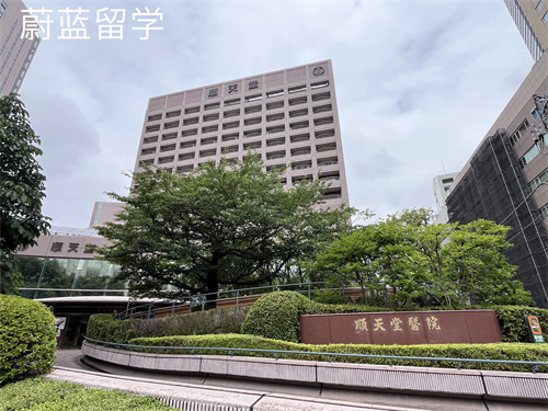 日本医学读博难不难？