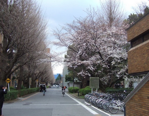东京大学建筑系