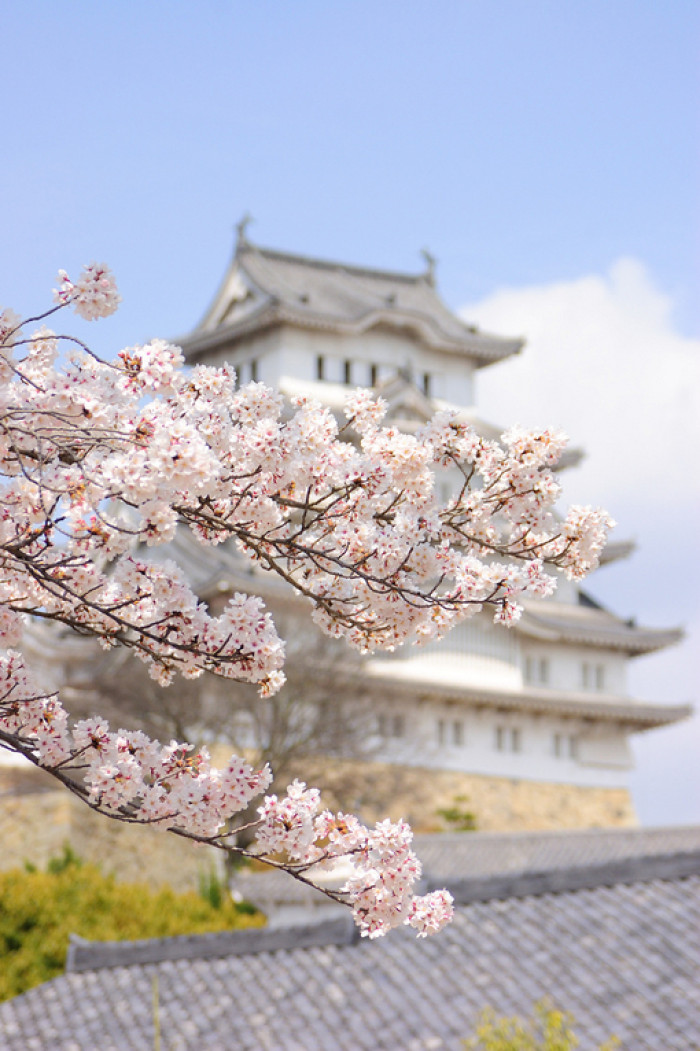 日本留学经营学是什么？都学什么？