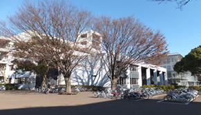 日本大学托福要求