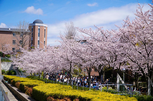 日本关西大学.jpg