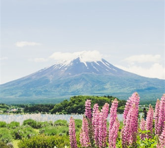 日本富士山1_副本.jpg